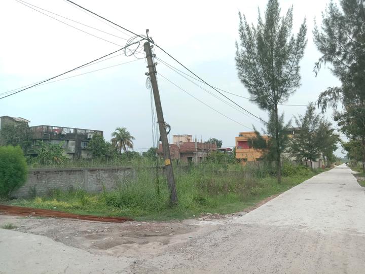 Apparent JB Garden Main Image 1