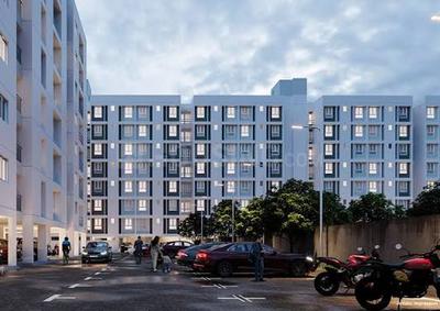 3 BHK Flat