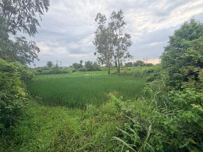 Image of 6500 Sq.ft Residential Plot / Land for sale in Badwai, Bhopal for Rs. 16200000