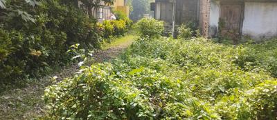 Image of 3600 Sq.ft Residential Plot / Land for sale in Rajpur, Kolkata for Rs. 5500000