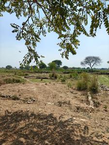 Image of 10000 Sq.ft Residential Plot / Land for sale in Jhalwa, Allahabad for Rs. 15000000