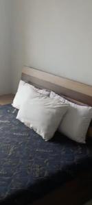 Bedroom Image of 619 Sq.ft 2 BHK Apartment / Flat for rent in Address 51, Bandra East Mumbai for Rs. 115000