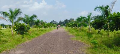 Image of 8000 Sq.ft Residential Plot / Land for sale in Patan, Durg for Rs. 5208000