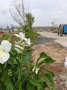 Image of 1815 Sq.ft Residential Plot / Land for sale in Vaddeswaram, Guntur for Rs. 5990000