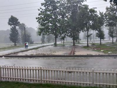 Image of 1218 Sq.ft Residential Plot / Land for sale in R V Estate Reyansh Green, Pondha, Dehradun for Rs. 7500000