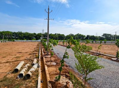 Image of 1230 Sq.ft Residential Plot / Land for sale in Yerpudu, Tirupathi for Rs. 1236000