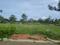 KRISHNA GREENS MIDLAKE Plot View 2