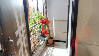 Bedroom Image of 700 Sq.ft 2 BHK Apartment / Flat for rent in Okay Plus Krishna kunj, Sirsi Jaipur for Rs. 12000