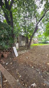 Defence Colony Plot View 3