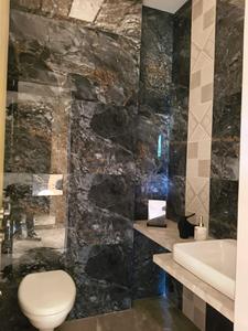 Common Bathroom Image of 2970 Sq.ft 4 BHK Apartment / Flat for sale in Livience Aleenta, Pashan Pune for Rs. 37000000