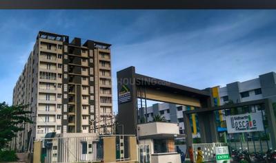 1 BHK Flat