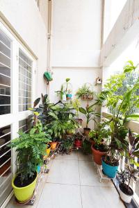 Balcony Image of 921 Sq.ft 2 BHK Apartment / Flat for sale in Austin Park, Tathawade Pune for Rs. 8900000