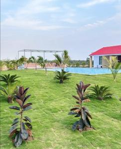 Image of 7200 Sq.ft Residential Plot / Land for sale in Sakri, Bilaspur for Rs. 3060000