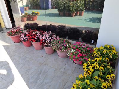 Balcony Image of 6000 Sq.ft 6 BHK Villa for sale in LDA Vishesh Khand, Gomti Nagar Lucknow for Rs. 62500000