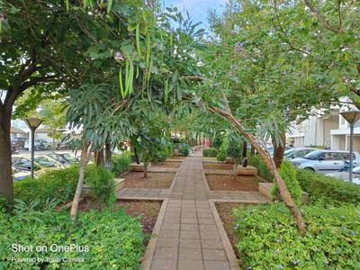 Image of 1300 Sq.ft 3 BHK Apartment / Flat for rent in Pharande Celestial City, Ravet, Pune for Rs. 35000