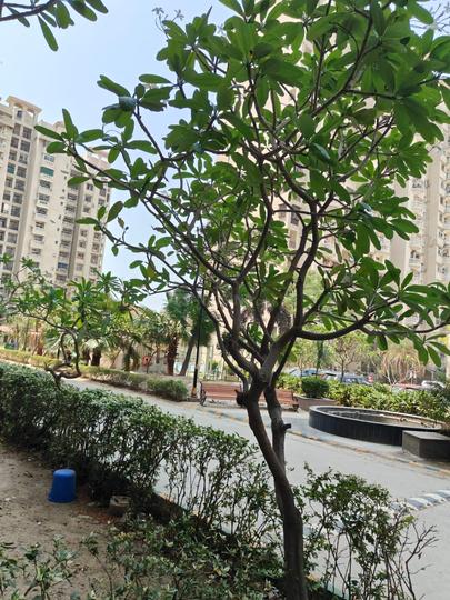 Amrapali Silicon City Main Image 1