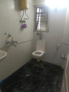 Common Bathroom Image of 980 Sq.ft 3 BHK Apartment / Flat for rent in Evershine Millennium Paradise, Kandivali East Mumbai for Rs. 70000