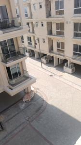 Image of 1295 Sq.ft 3 BHK Builder Floor for rent in Signature Global City, Sector 37D, Gurgaon for Rs. 35000