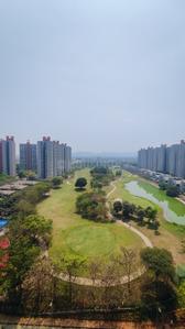 Image of 640 Sq.ft 1 RK Studio for rent in Lodha Belmondo, Gahunje, Pune for Rs. 37000