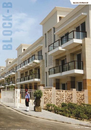 Pyramid Palm County Main Image 1