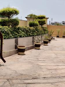 Image of 1350 Sq.ft 3 BHK Apartment / Flat for rent in Bawadiya Kalan, Bhopal for Rs. 22000