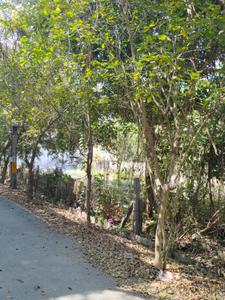 Image of 1800 Sq.ft Residential Plot / Land for sale in JP Nagar, Bengaluru for Rs. 24300000