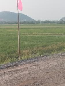 Image of 166 Sq.ft Residential Plot / Land for sale in Mangalagiri, Guntur for Rs. 5300000