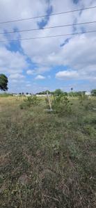 Image of 5000 Sq.ft Residential Plot / Land for sale in Rishi Nagar, Ujjain for Rs. 5500000
