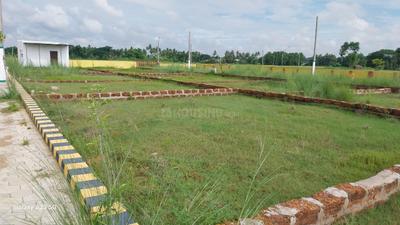 Image of 1250 Sq.ft Residential Plot / Land for sale in Dhauli, Bhubaneswar for Rs. 6200000