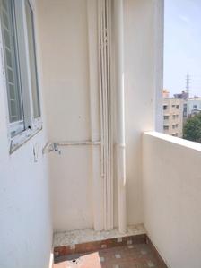 Drying Area Image of 1182 Sq.ft 3 BHK Apartment / Flat for sale in Avani Residency, Singasandra Bengaluru for Rs. 7800500