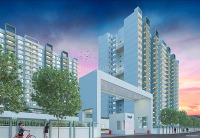 3 BHK Flat