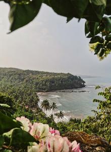 Image of 3876 Sq.ft 4 BHK Villa for sale in Canacona, Goa for Rs. 63200000