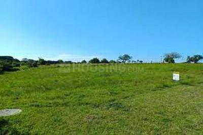 Image of 1440 Sq.ft Residential Plot / Land for sale in ASM Shree Jaswant Garden, Sector 14, Panchkula for Rs. 11523000