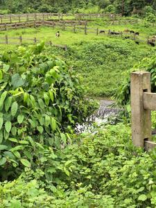 Image of 3500 Sq.ft Residential Plot / Land for sale in Karjat, Thane for Rs. 2900000