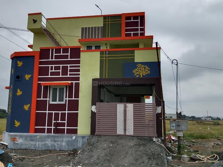 Peedampalli Main Image 1