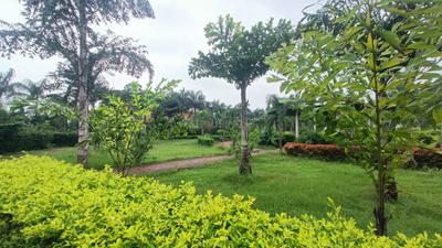 Image of 990 Sq.ft Residential Plot / Land for sale in Kandul, Raipur for Rs. 3150000