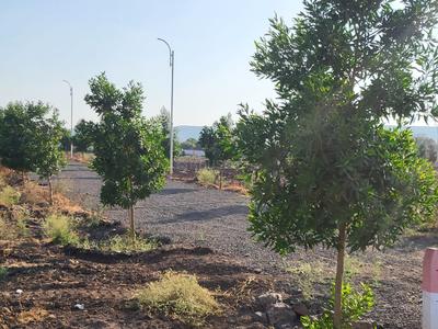 Image of 1840 Sq.ft Residential Plot / Land for sale in Hadapsar, Pune for Rs. 1012000