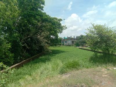Residential plot Arapanch Plot View 2