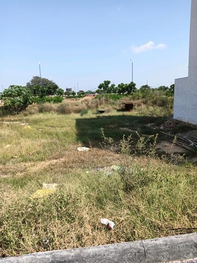 Lion Green Valley Main Image 1