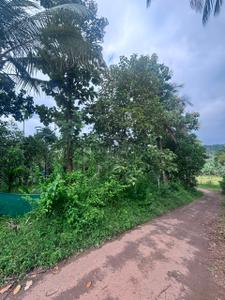 Image of 18700 Sq.ft Residential Plot / Land for sale in Ambalavayal, Wayanad for Rs. 145000