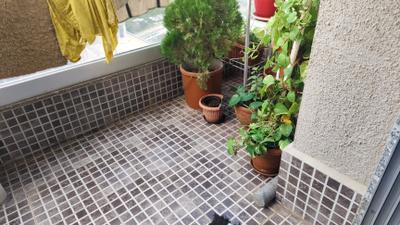 Balcony Image of 998 Sq.ft 2 BHK Apartment / Flat for sale in Axis Whistling Meadows, Bhugaon Pune for Rs. 7200000