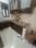 Malviya Nagar Kitchen 1