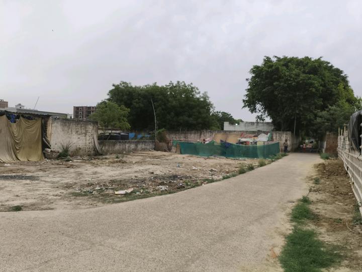 Milak Lachchhi Main Image 1