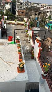 Balcony Image of 2200 Sq.ft 2 BHK Independent House for sale in Kalighat Kolkata for Rs. 17500000