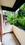 Balcony Image of Vignesh Appt.  in Kothrud, Pune