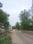 Shadnagar Main Image 1