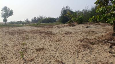 Image of 93108 Sq.ft 4 BHK Farm House for sale in Morjim, Goa for Rs. 1100000000