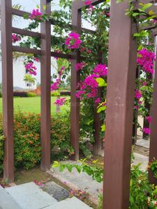 Balcony Image of 2750 Sq.ft 5 BHK Villa for sale in CG Sun Villas, Raj Nagar Extension Ghaziabad for Rs. 25500000