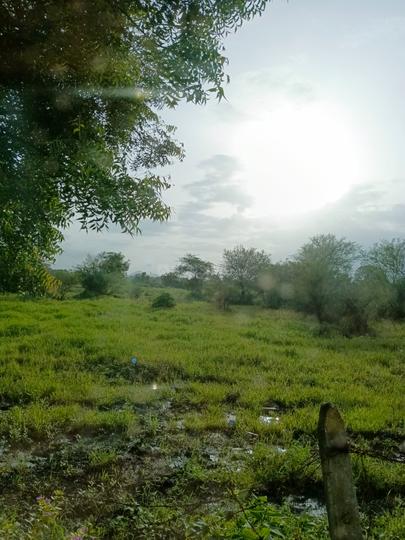 Bhagur Rural Main Image 1