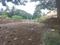 Uran Plot View 2